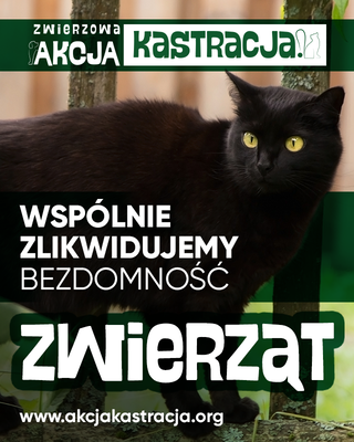 Podsumowanie I edycji ZWIERZowej Akcji Kastracji 